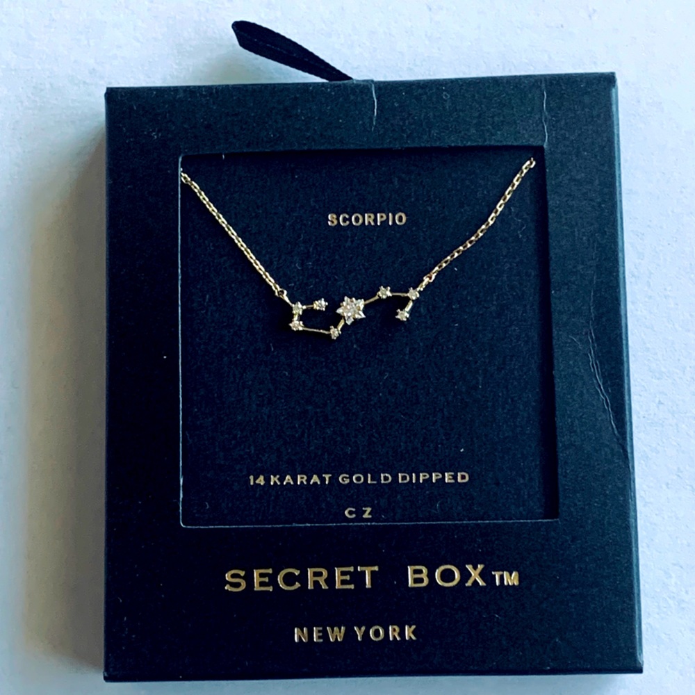 Scorpio-Secret Box celestial necklace.